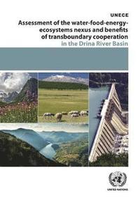 bokomslag Assessment of the water-food-energy-ecosystems nexus and benefits of transboundary cooperation in the Drina River Basin