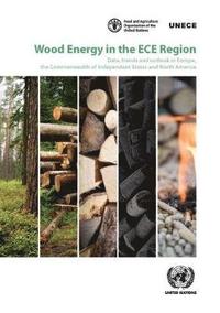 bokomslag Wood energy in the ECE region