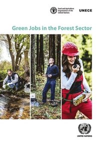 bokomslag Green jobs in the forest sector