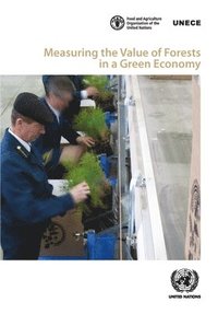 bokomslag Measuring the value of forests in a green economy