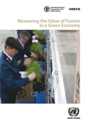 Measuring the value of forests in a green economy 1