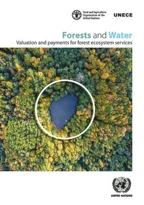 Forests and Water 1