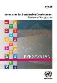 bokomslag Innovation for sustainable development