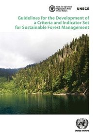 bokomslag Guidelines for the development of a criteria and indicator set for sustainable forest management