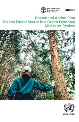 Rovaniemi Action Plan for the forest sector in a green economy 1