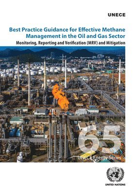 bokomslag Best practice guidance for effective methane management in the oil and gas sector