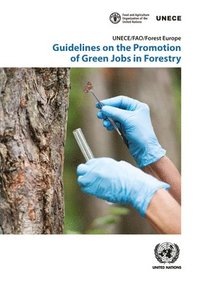 bokomslag Guidelines on the promotion of green jobs in forestry