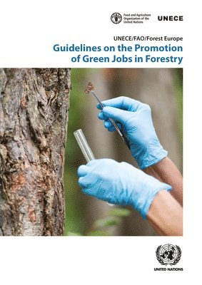 Guidelines on the promotion of green jobs in forestry 1