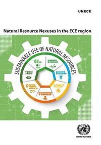 bokomslag Natural Resource nexuses in the ECE region