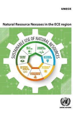 bokomslag Natural Resource Nexuses in the Ece Region