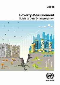 bokomslag Poverty measurement