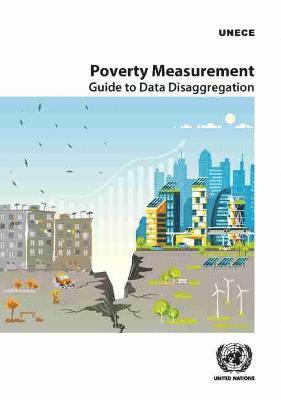 bokomslag Poverty measurement