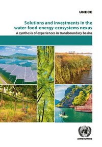 bokomslag Solutions and investments in the water-food-energy-ecosystems nexus
