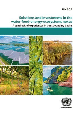 Solutions and investments in the water-food-energy-ecosystems nexus 1