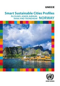 bokomslag Smart sustainable cities profiles