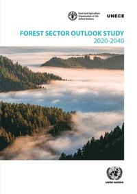 bokomslag Forest Sector Outlook Study 2020-2040