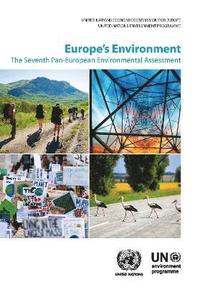 bokomslag Europe's environment