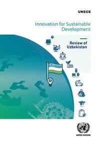 bokomslag Innovation for sustainable development