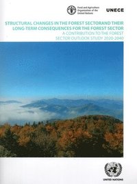 bokomslag Structural changes in the forest sector and their long-term consequences for the forest sector