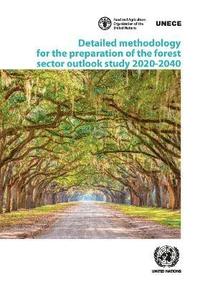 bokomslag Detailed Methodology for the Preparation of the Forest Sector Outlook Study 2020-2040