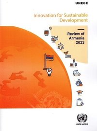 bokomslag Innovation for sustainable development