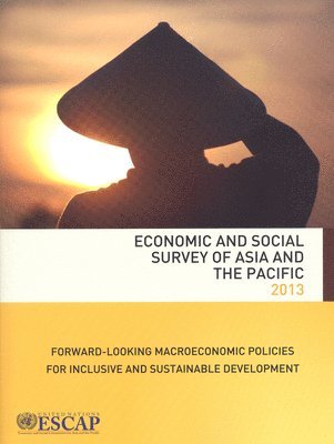 bokomslag Economic and social survey of Asia and the Pacific 2013