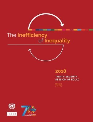 bokomslag inefficiency of inequality