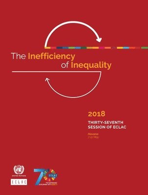 bokomslag The inefficiency of inequality