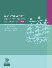 bokomslag Economic Survey of Latin America and the Caribbean 2024 : Low-growth Trap Climate Change and Employment Trends