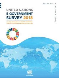 bokomslag United Nations e-government survey 2018