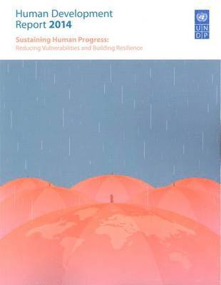 bokomslag Human development report 2014