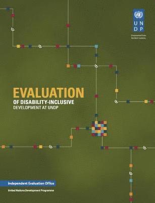 Evaluation of disability inclusive development at UNDP 1