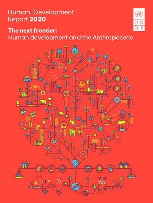 bokomslag Human Development Report 2020