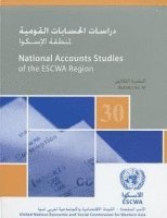 bokomslag National Accounts Studies of the ESCWA Region