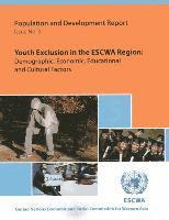 bokomslag Youth exclusion in the ESCWA Region