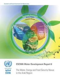 bokomslag The water, energy and food security nexus in the Arab region