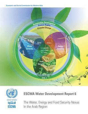 The water, energy and food security nexus in the Arab region 1