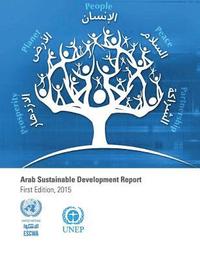 bokomslag Arab Sustainable Development Report 2015