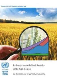 bokomslag Pathways towards food security in the Arab region