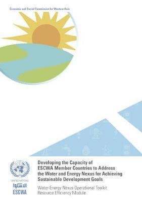 bokomslag Developing the capacity of ESCWA member countries to address the water and energy nexus for achieving sustainable development goals