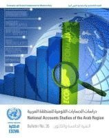 bokomslag National accounts studies of the Arab region