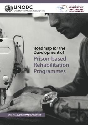 bokomslag Roadmap for the development of prison-based rehabilitation programmes