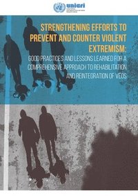 bokomslag Strengthening efforts to prevent and counter violent extremism