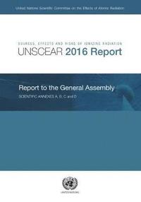 bokomslag Sources, effects and risks of ionizing radiation