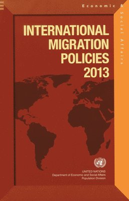 bokomslag International migration policies 2013