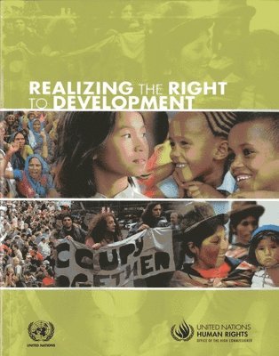 Realizing the right to development 1