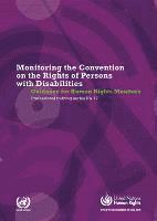 bokomslag Monitoring the Convention of the Rights of Persons with Disabilities