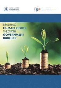 bokomslag Realizing human rights through government budgets