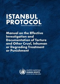 bokomslag Istanbul Protocol