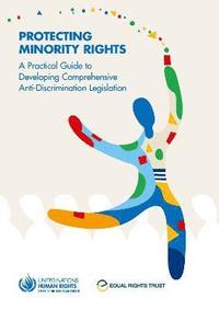 bokomslag Protecting minority rights